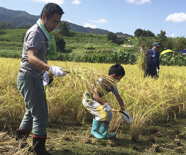 アジアアフリカ支援米 稲刈りボランティア